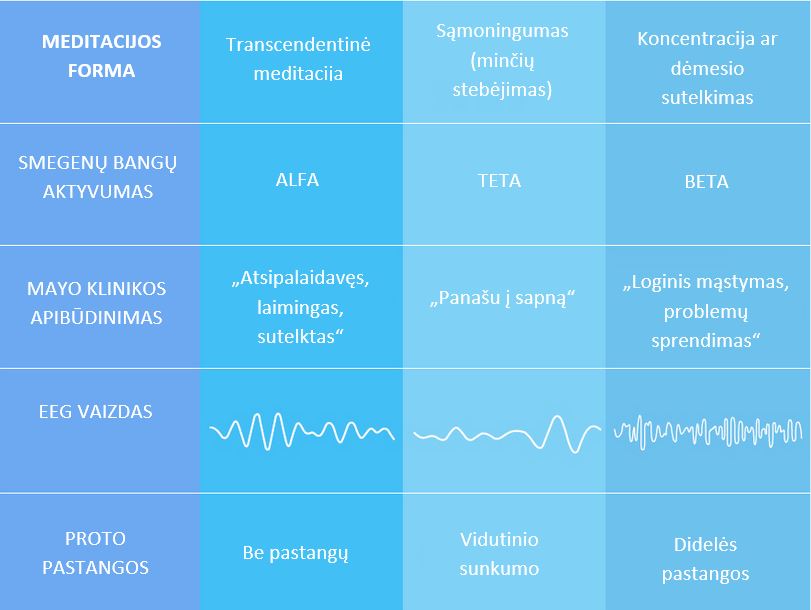 TM Palyginimas