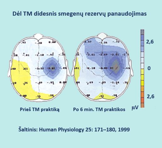 Smegenų panaudojimas